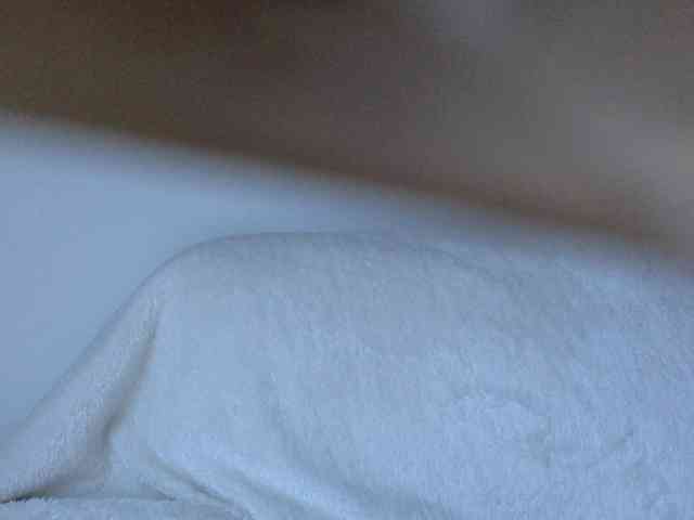 juicylayla webcam