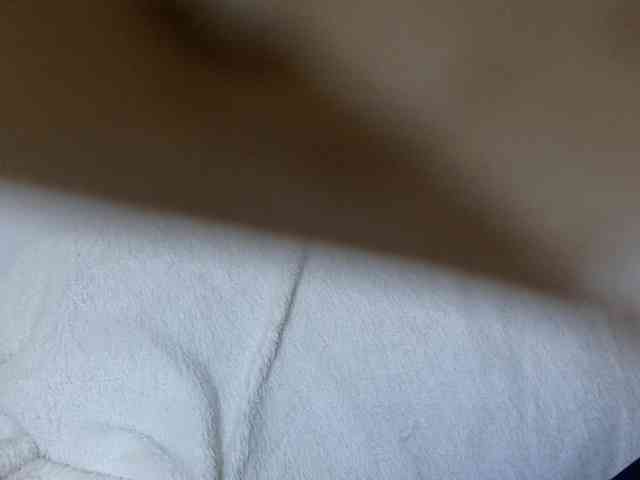 juicylayla webcam