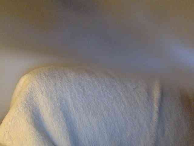 juicylayla webcam