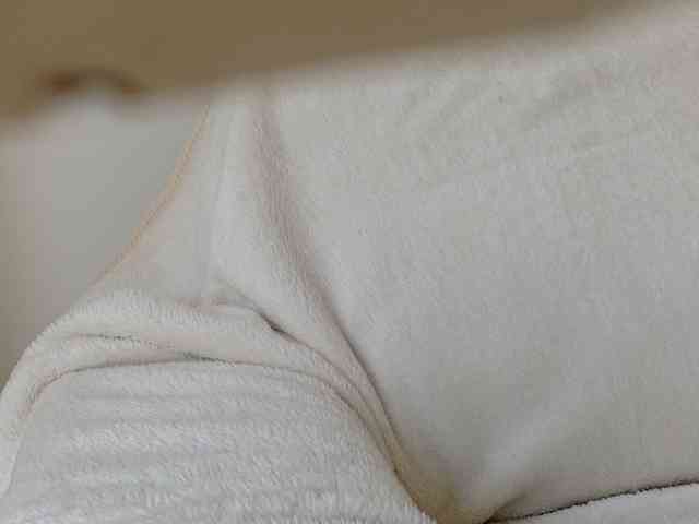 juicylayla webcam