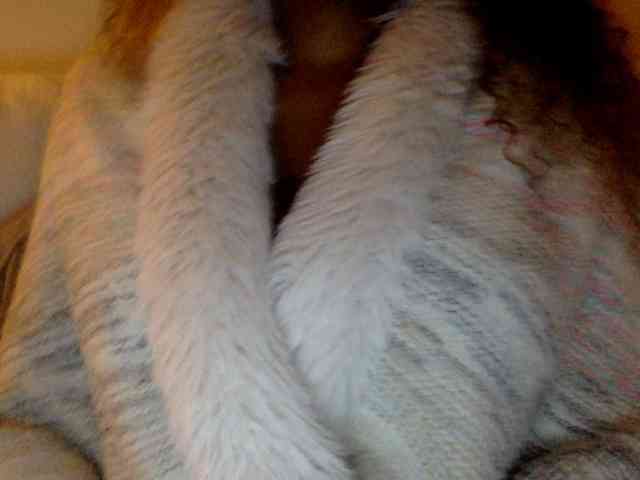 juicylayla