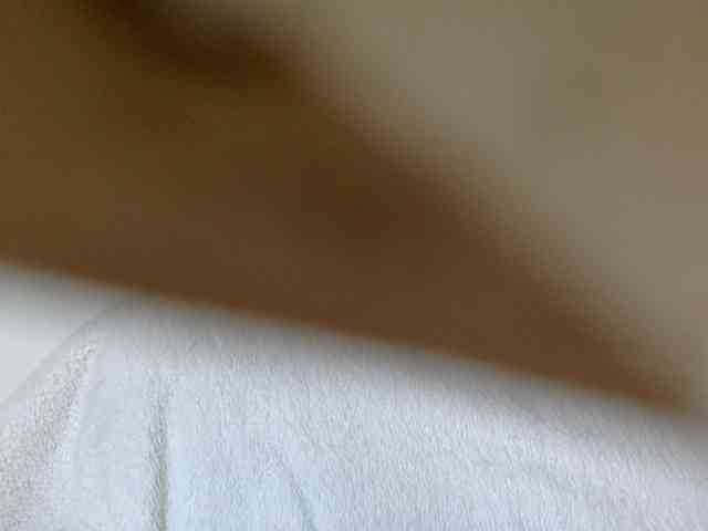 juicylayla webcam
