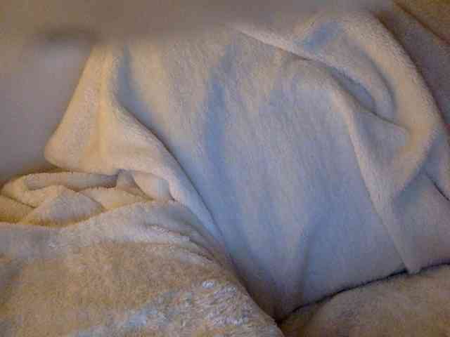 juicylayla webcam