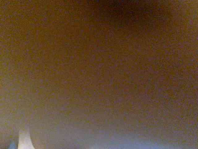 juicylayla webcam