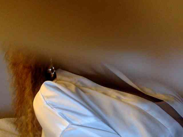juicylayla webcam