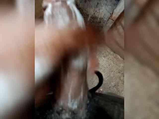 Smjemy26