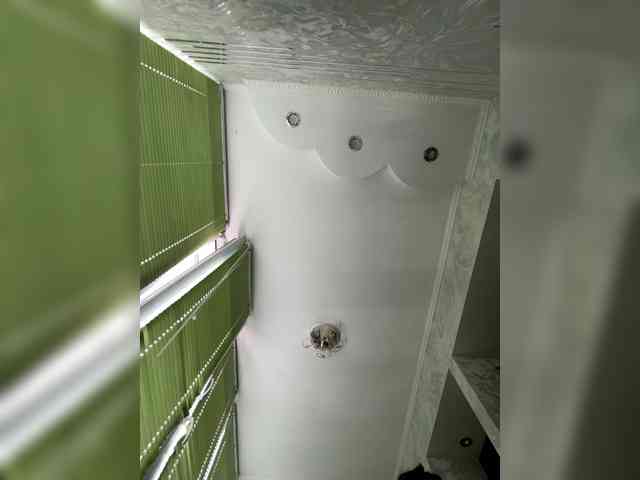 Pe4enkaa webcam