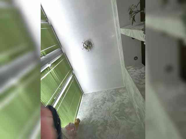 Pe4enkaa