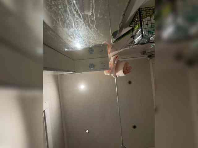 Pe4enkaa