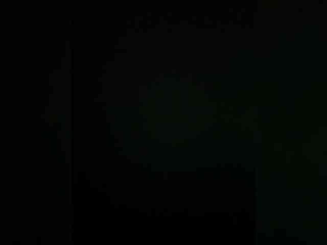 Pe4enkaa webcam