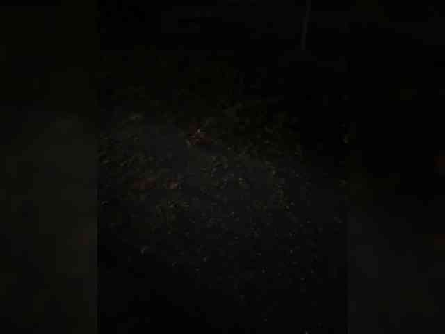 Nightkiller008 Sex Cam Show