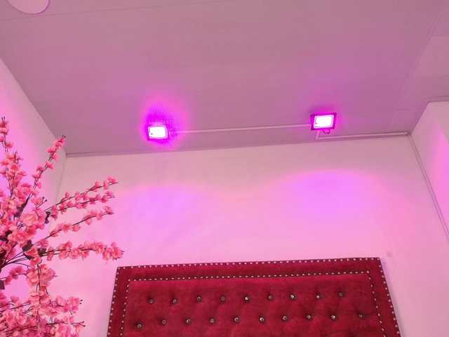 Daphne-glass live cam on BongaCams