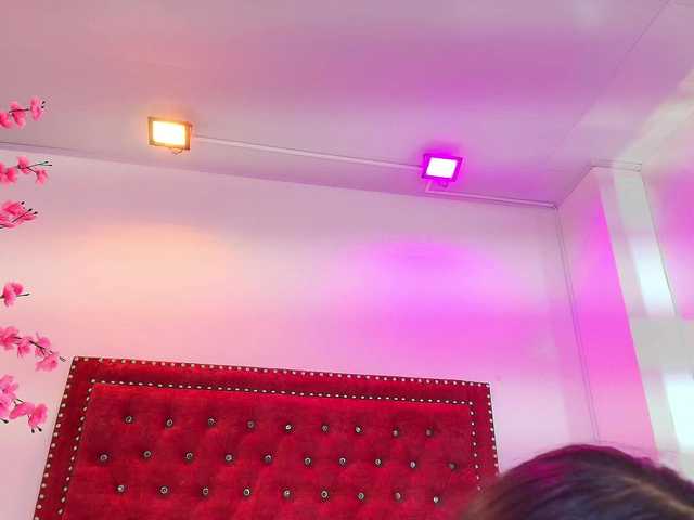 Daphne-glass live cam on BongaCams