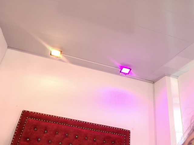 Daphne-glass live cam on BongaCams