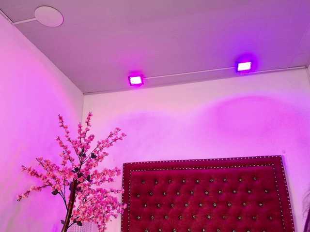 Daphne-glass live cam on BongaCams