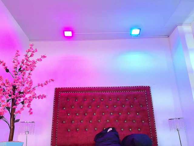 Daphne-glass live cam on BongaCams