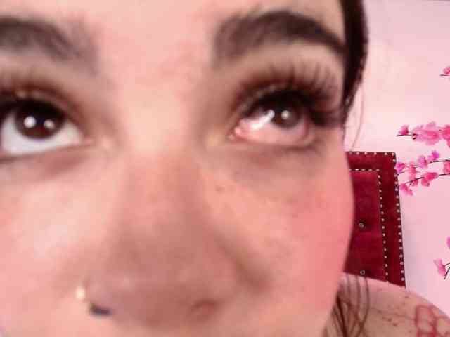 Daphne-glass webcam