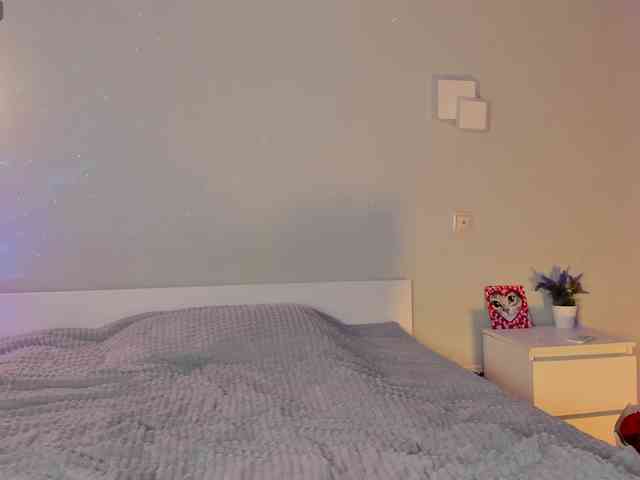LunBunny webcam