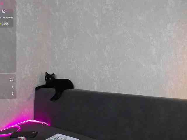 LunBunny webcam