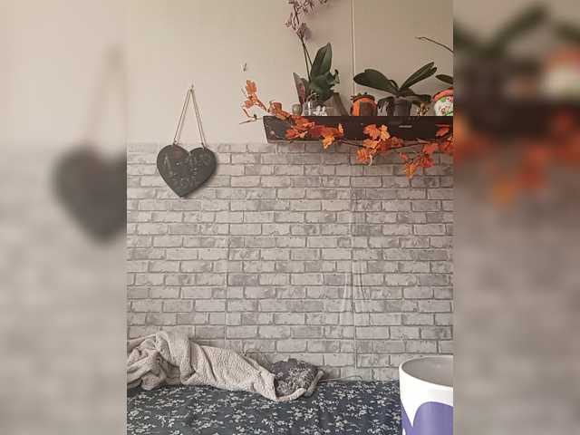 Angelocek82