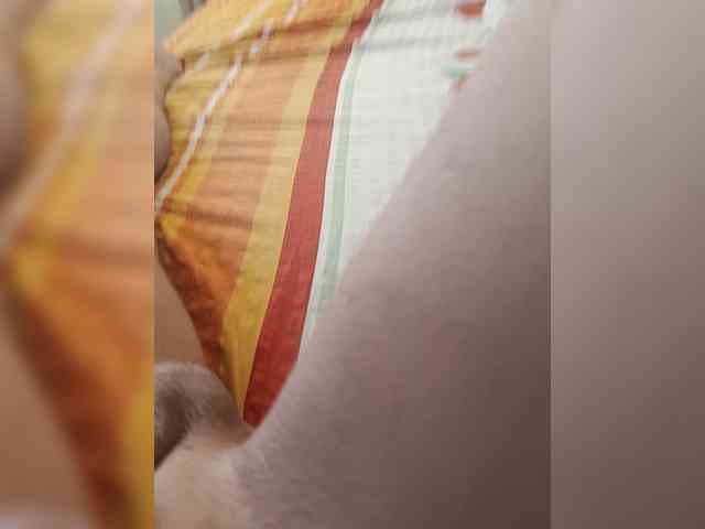 Angelocek82 Live Webcam on BongaCams