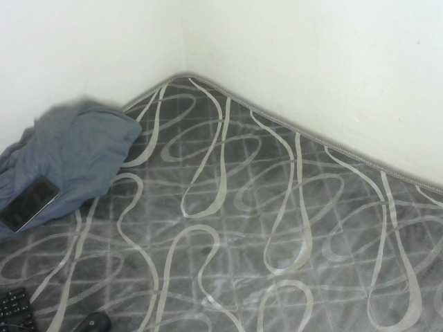 WildAss live webcam show