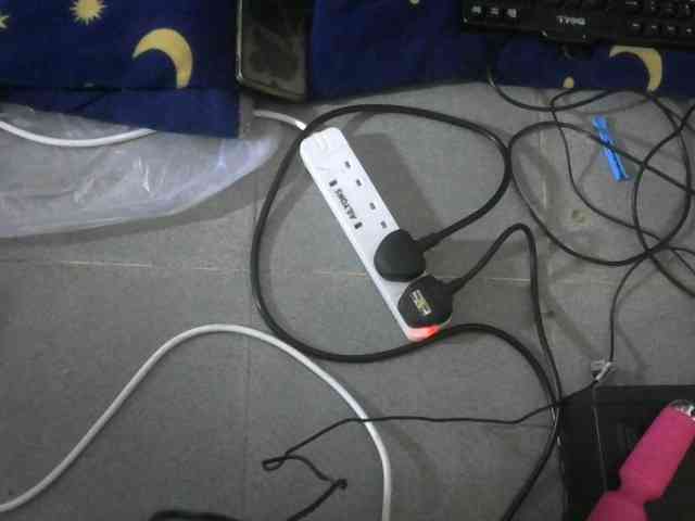 WildAss webcam