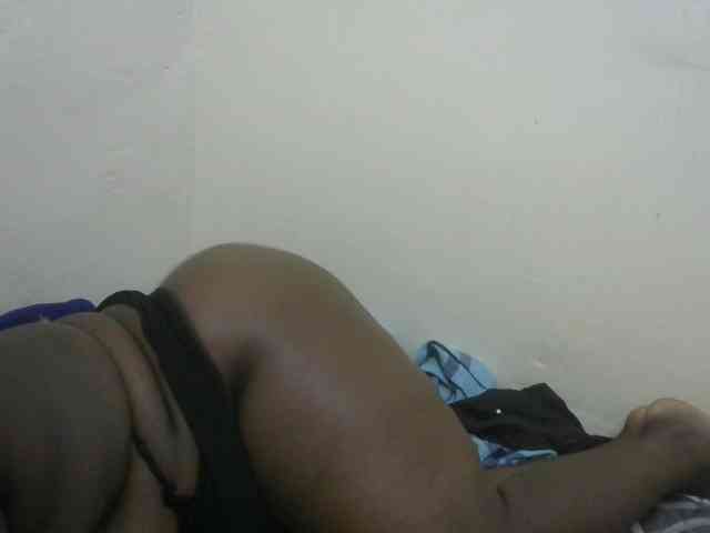WildAss webcam