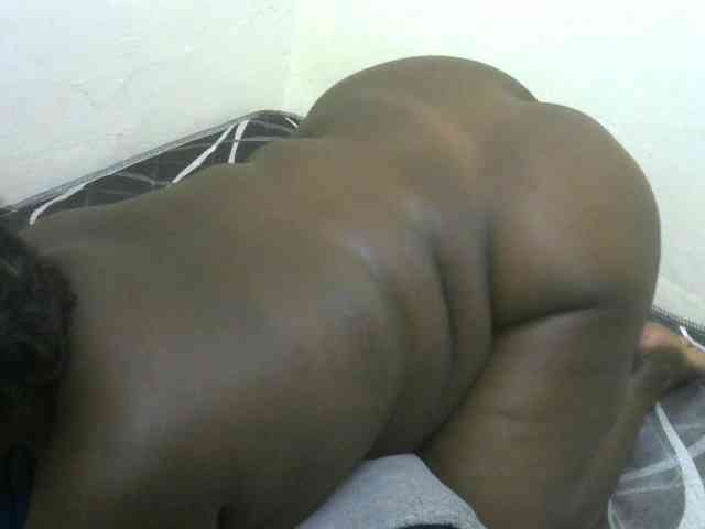 WildAss