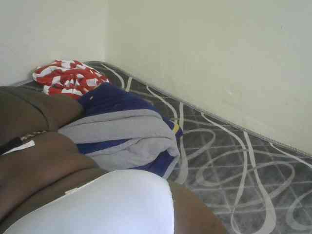 WildAss