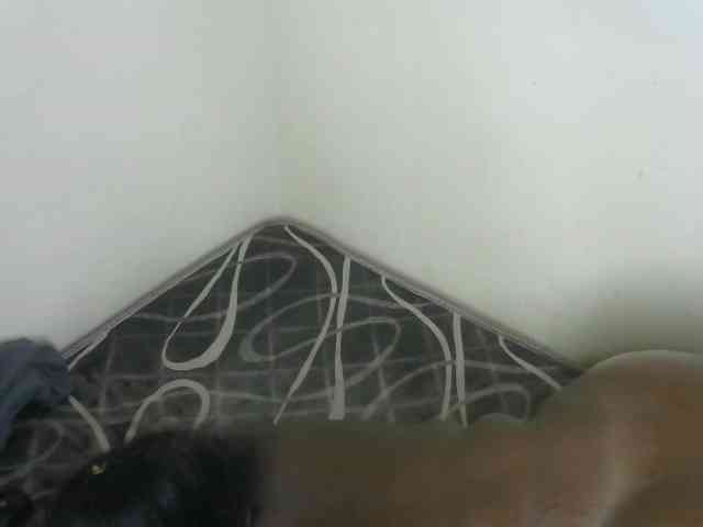 WildAss webcam