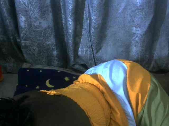 WildAss webcam