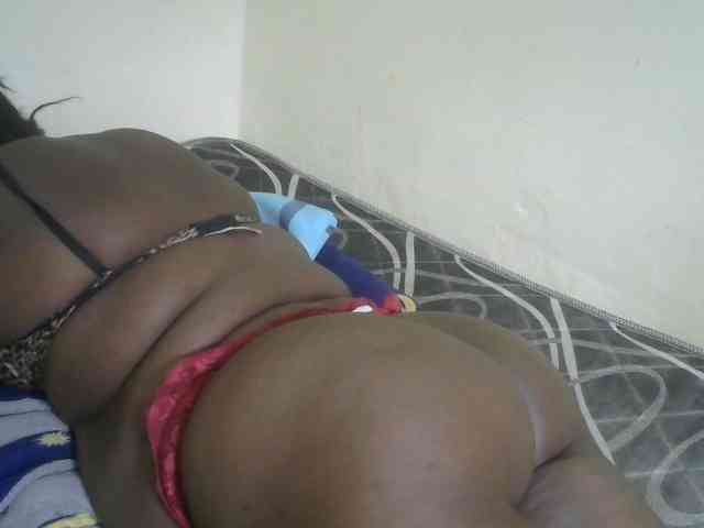 WildAss webcam