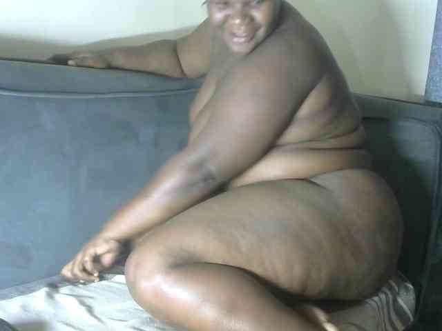 WildAss WildAss