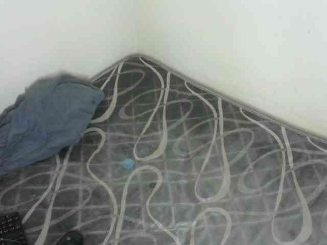 WildAss webcam