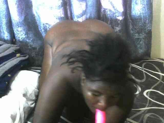 WildAss WildAss