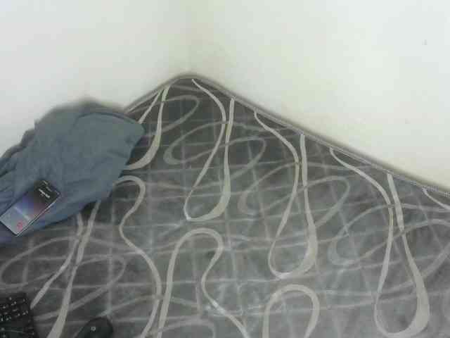 WildAss webcam