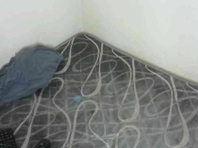 WildAss webcam