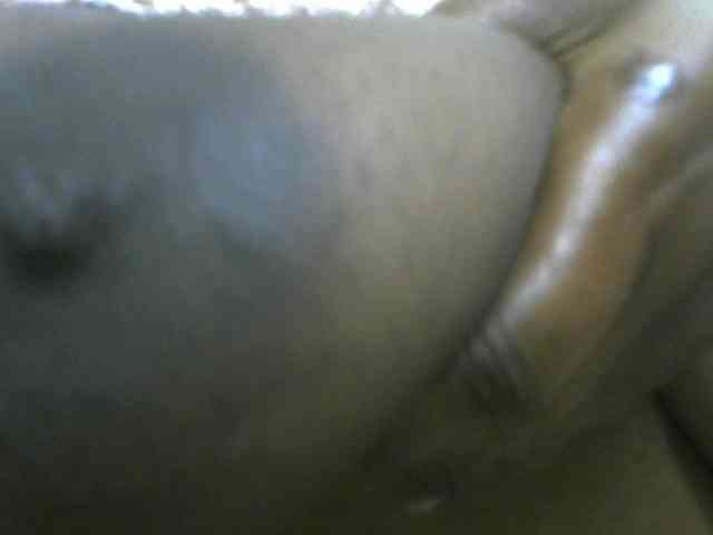 WildAss webcam