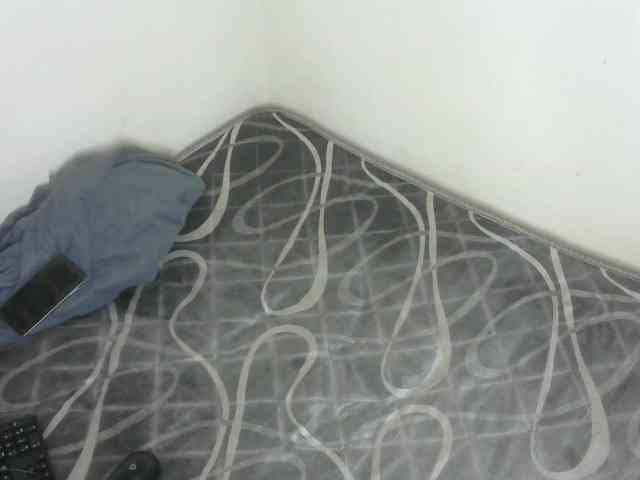 WildAss webcam