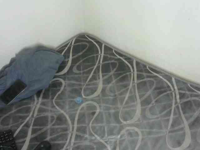 WildAss webcam
