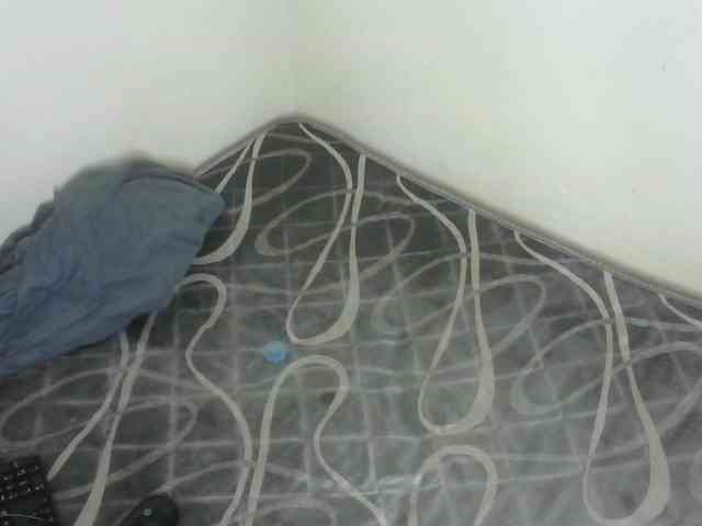 WildAss webcam