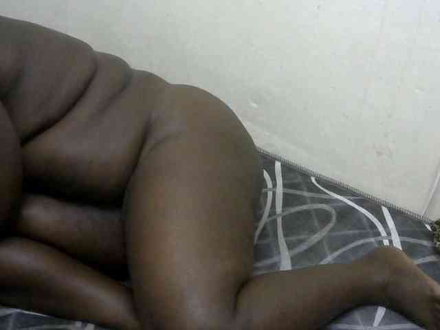 WildAss webcam