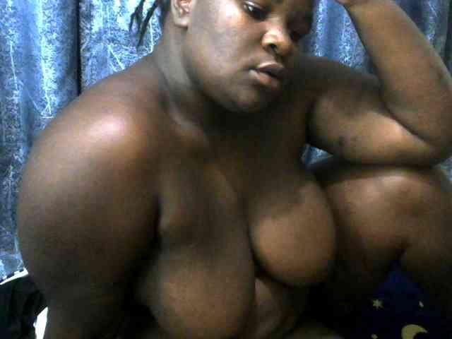 Model: WildAss