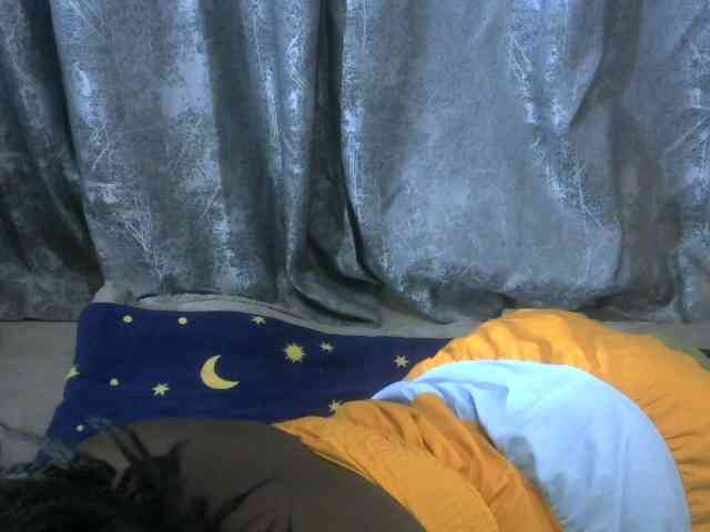 WildAss webcam