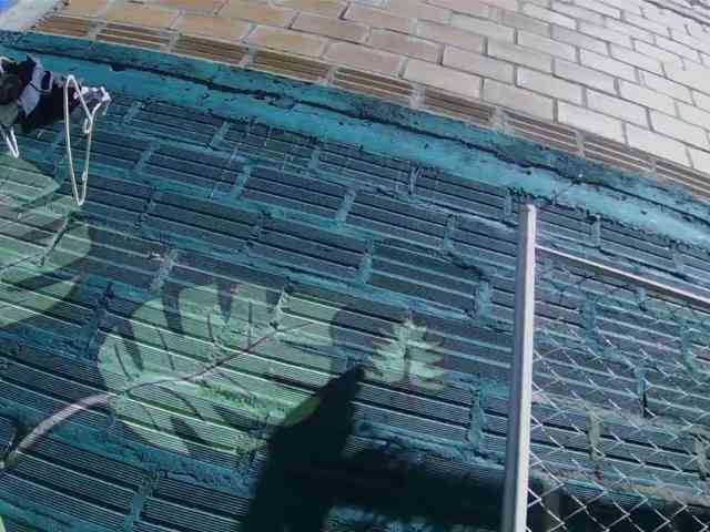 Junioryteresa webcam