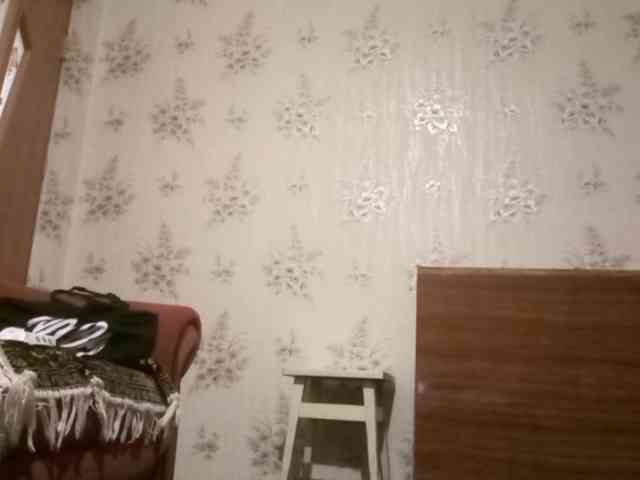 FlappySap webcam
