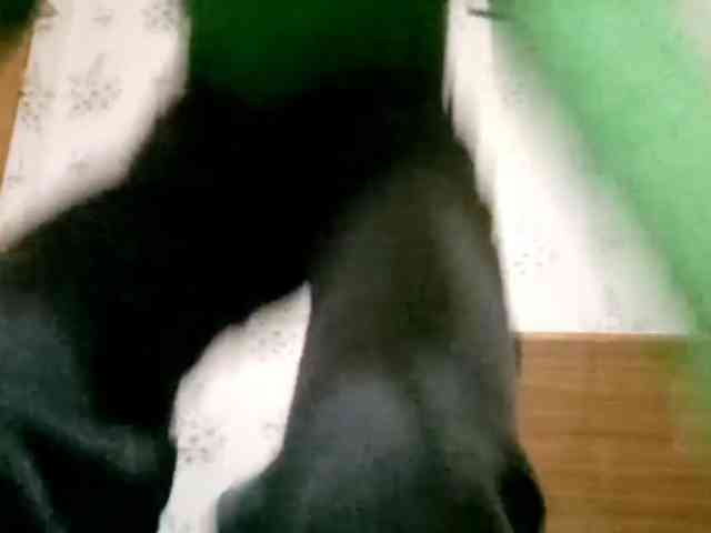 FlappySap webcam