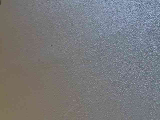 AdeleGreyhot webcam