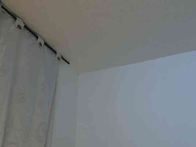 AdeleGreyhot webcam